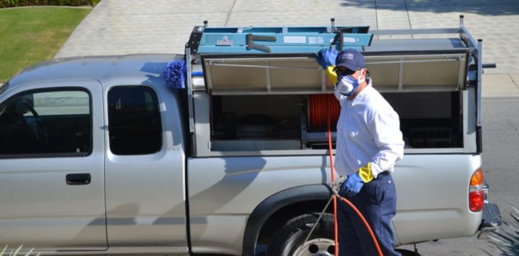 Pest control service for your business