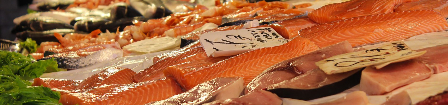 When to Increase Your Protein Intake