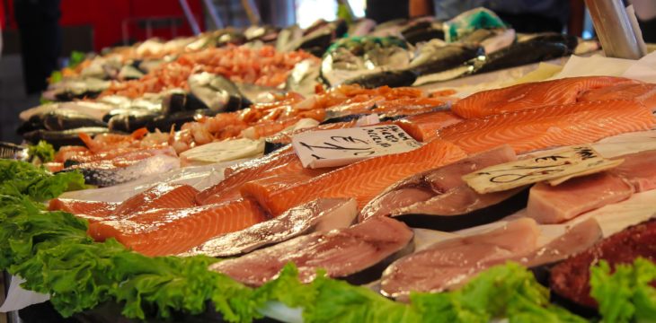 When to Increase Your Protein Intake